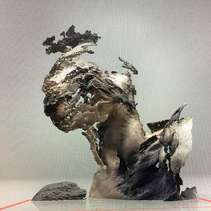 Interrupted 3D scan by artist Paul Coombs